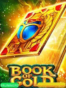 Book of Gold: Descobrindo a Aventura Mística
