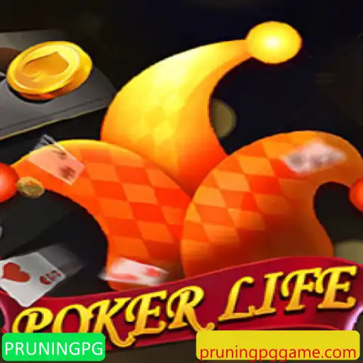 Descubra PokerLife: Um Novo Desafio no Mundo dos Jogos de Cartas